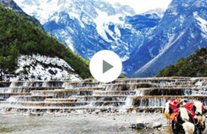 2017��yl23455�Ƽ��Ž�-����֮��