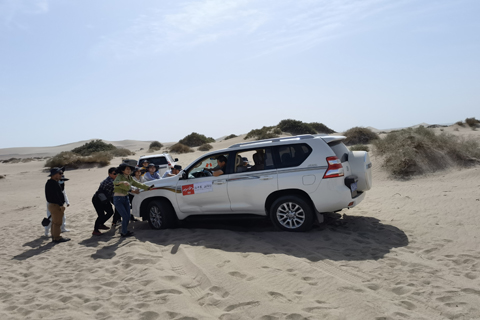 yl23455����(�й�)�ɷ����޹�˾