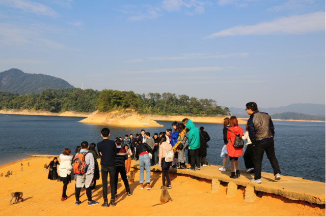 yl23455����(�й�)�ɷ����޹�˾